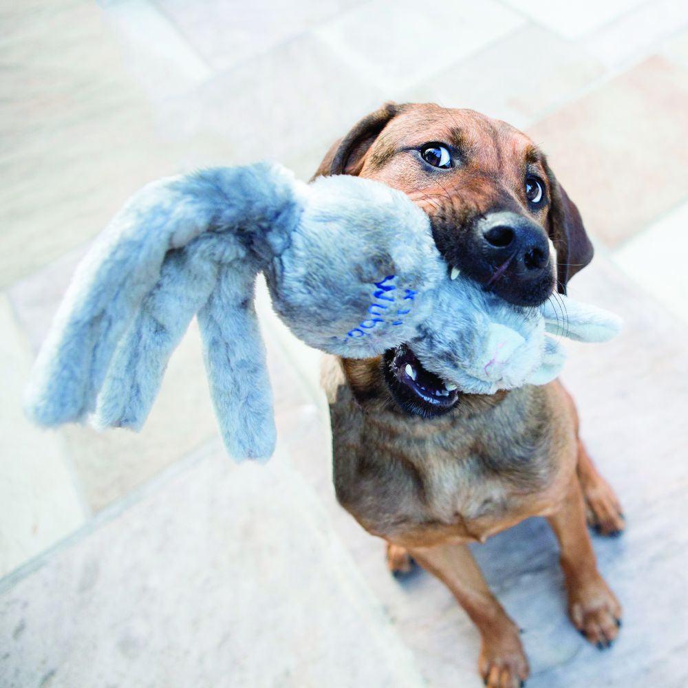 KONG Wubba Friends - Ormskirk Pets