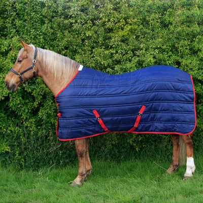 Whitaker Thomas Stable Rug 250Gm 4' 9" Navy/Red - Ormskirk Pets