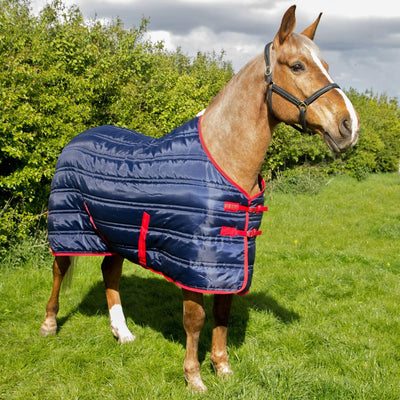 Whitaker Thomas Stable Rug 250Gm 5' 0" Navy/Red - Ormskirk Pets