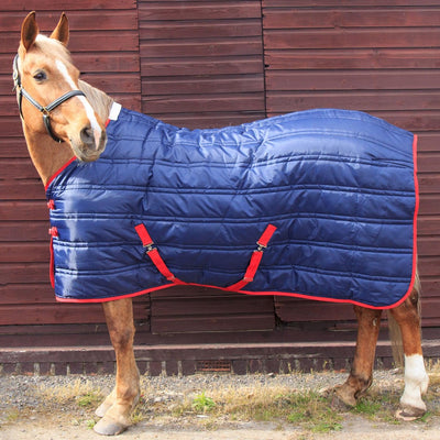 Whitaker Thomas Stable Rug 250Gm 5' 3" Navy/Red - Ormskirk Pets