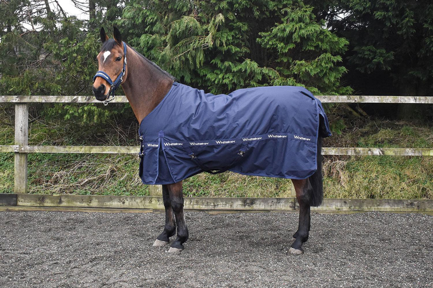 Whitaker Kirby Turnout Rug 100Gm Navy 6' 6"