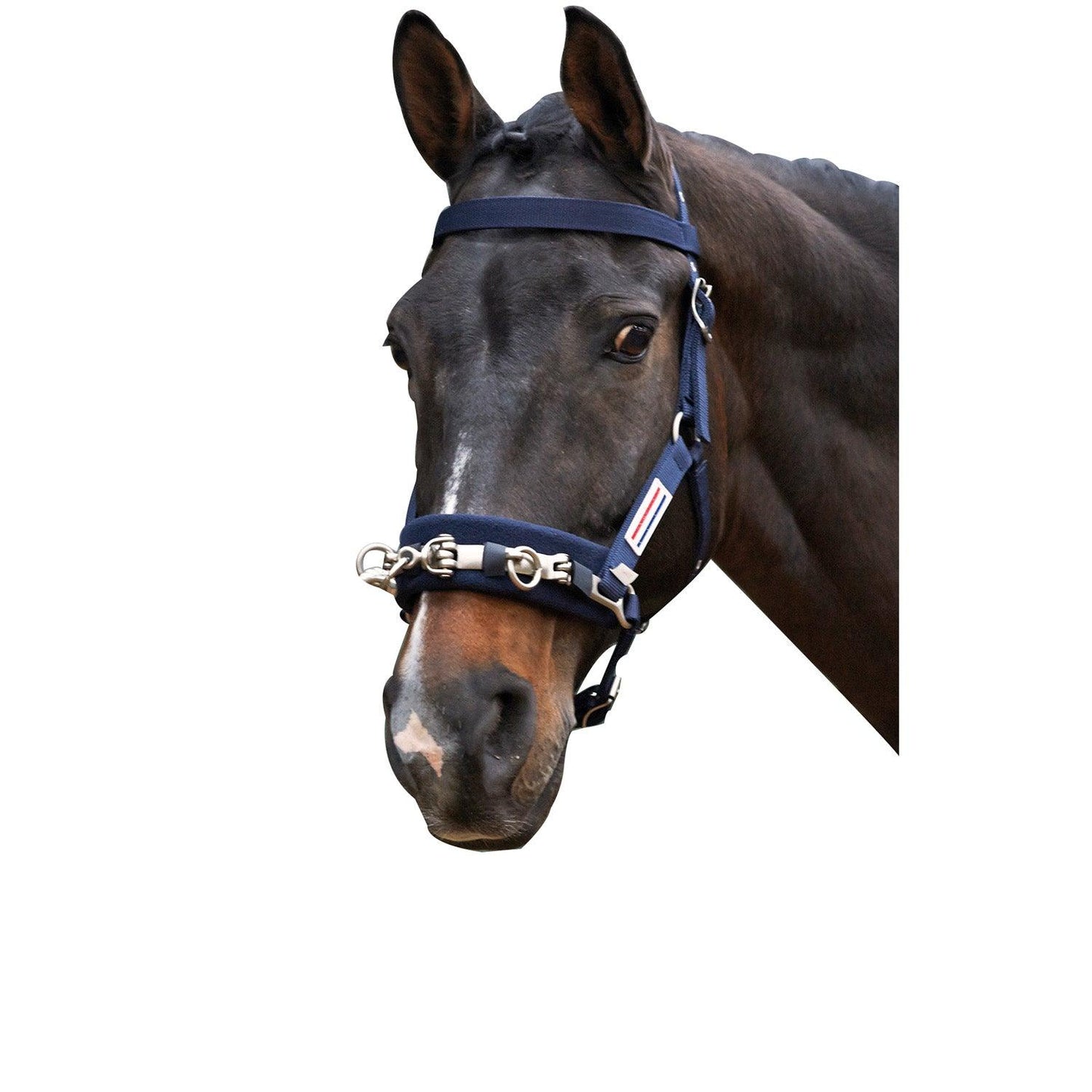 Whitaker Lunge Cavesson Navy Cob - Ormskirk Pets