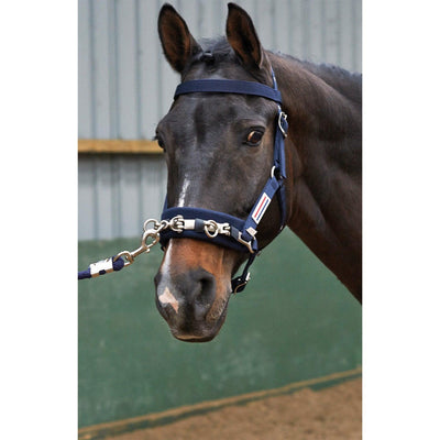 Whitaker Lunge Cavesson Navy Cob Full - Ormskirk Pets