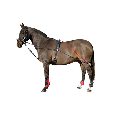 Whitaker Training System Navy/Red - Ormskirk Pets