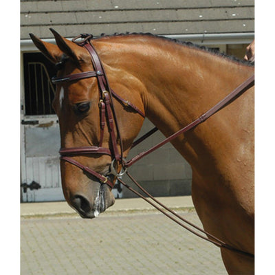 Whitaker Training Rein Brown Havana - Ormskirk Pets