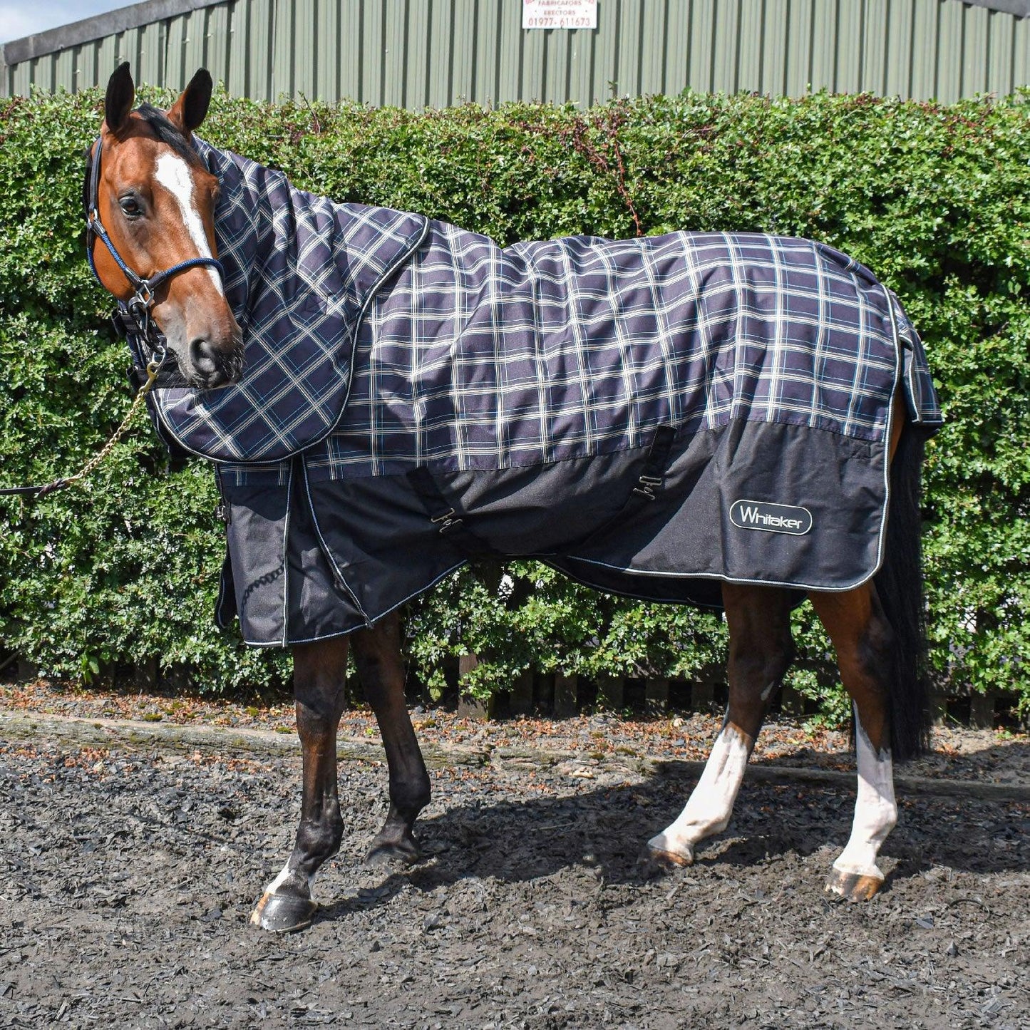 Whitaker Tunstall Turnout Rug Detachable Neck 170Gm 6' 6" Grey Check