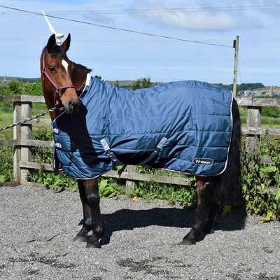 Whitaker Crompton Stable Rug 100Gm Petrol 6' 0"