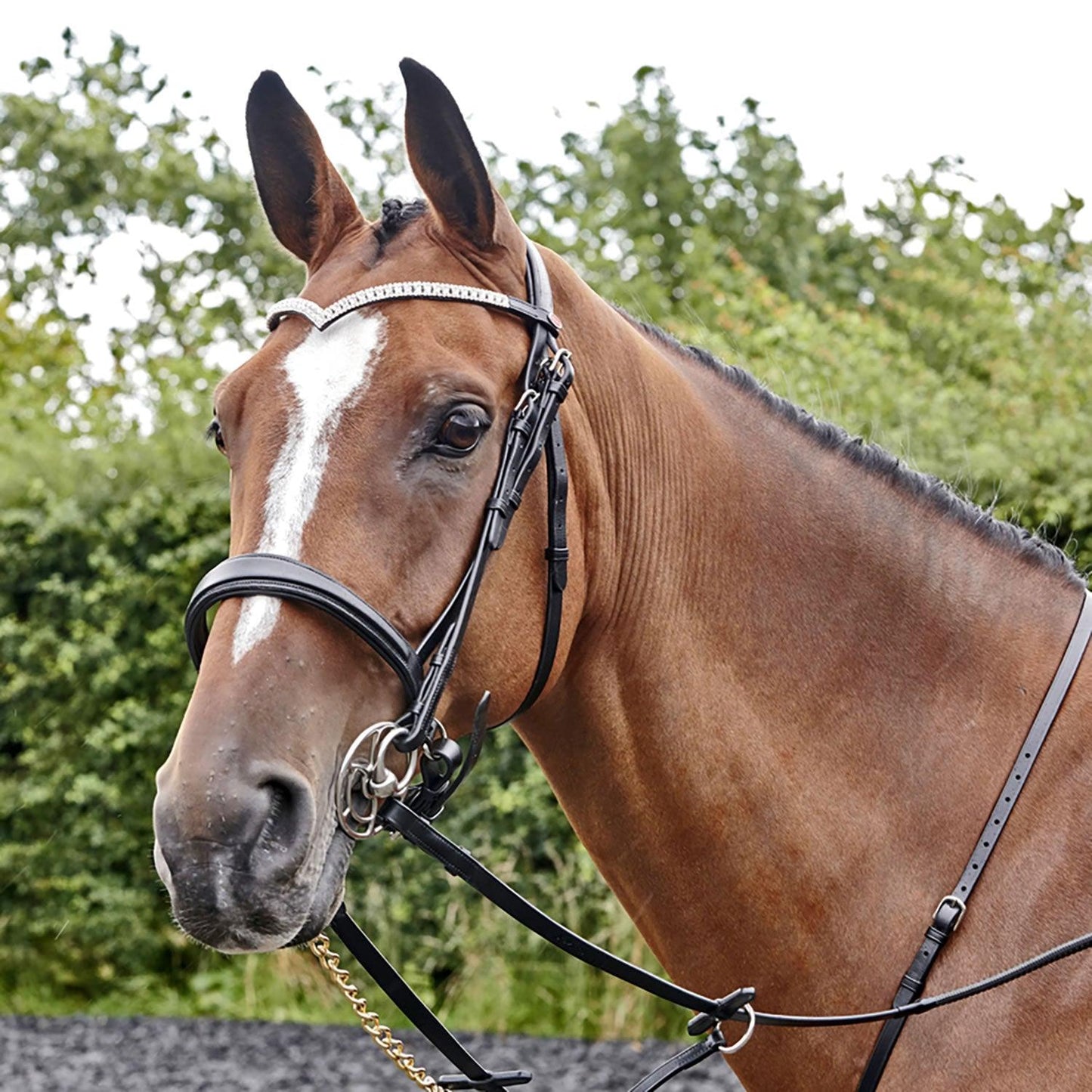 Whitaker Lynton Snaffle Bridle C/W Spare Browband Havana Cob - Ormskirk Pets