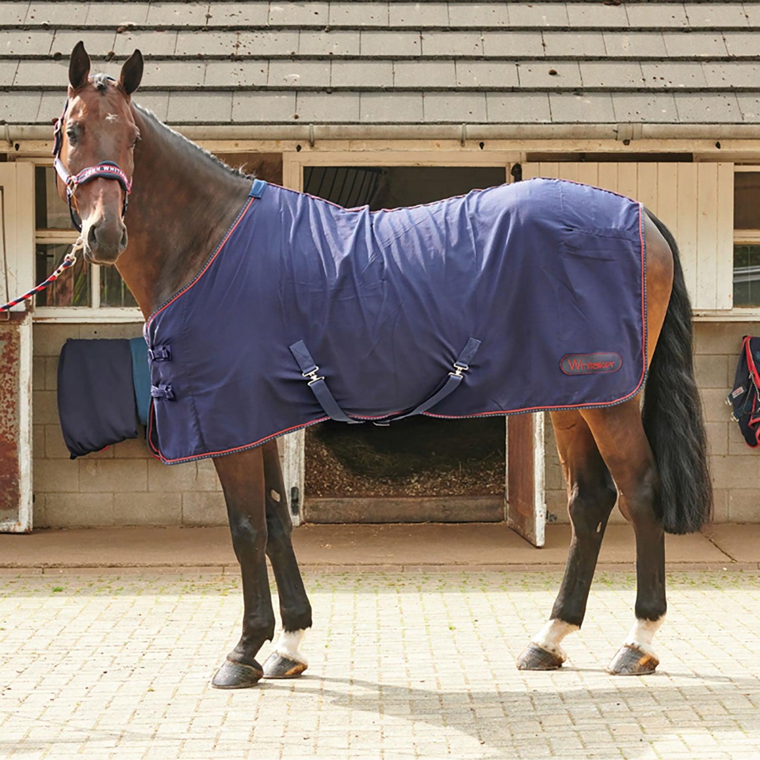 Whitaker Rastrick Summer Sheet Navy 4' 9" - Ormskirk Pets