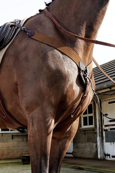 Whitaker Ready To Ride Breastplate Havana Cob - Ormskirk Pets