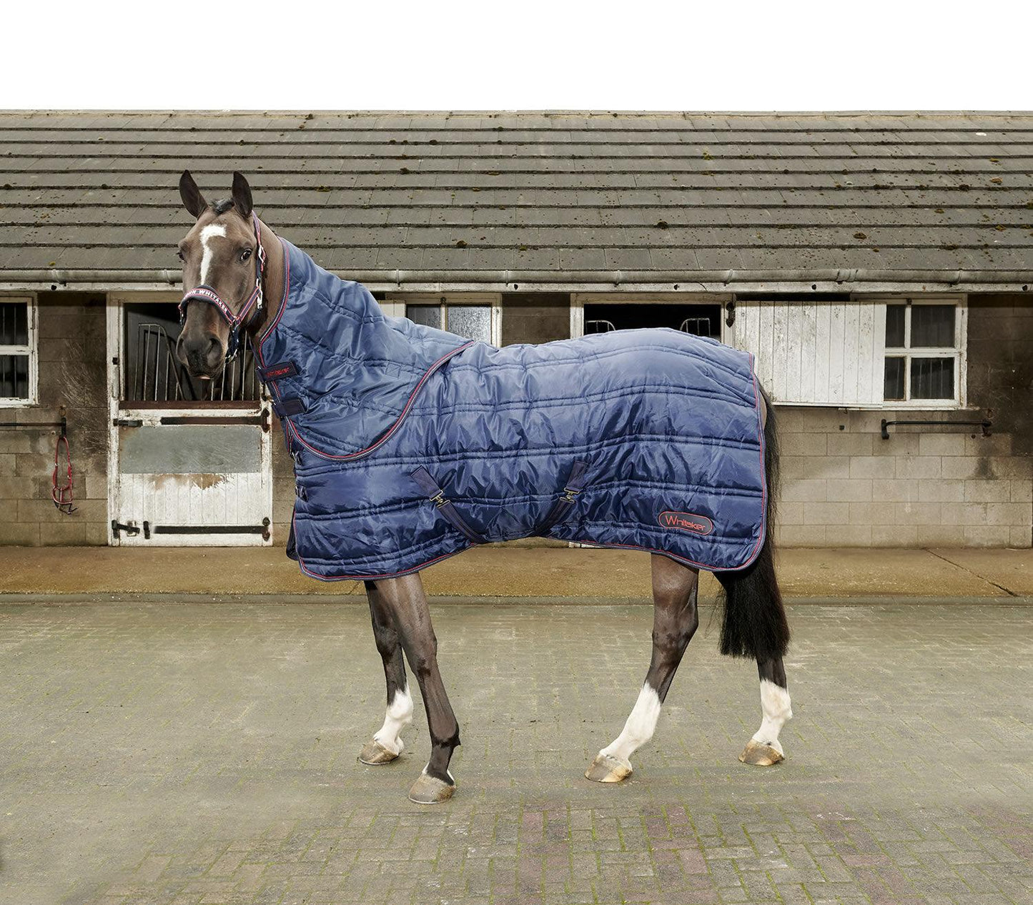 Whitaker Rastrick Stable Rug Combo 250Gm Navy/White 5' 6"