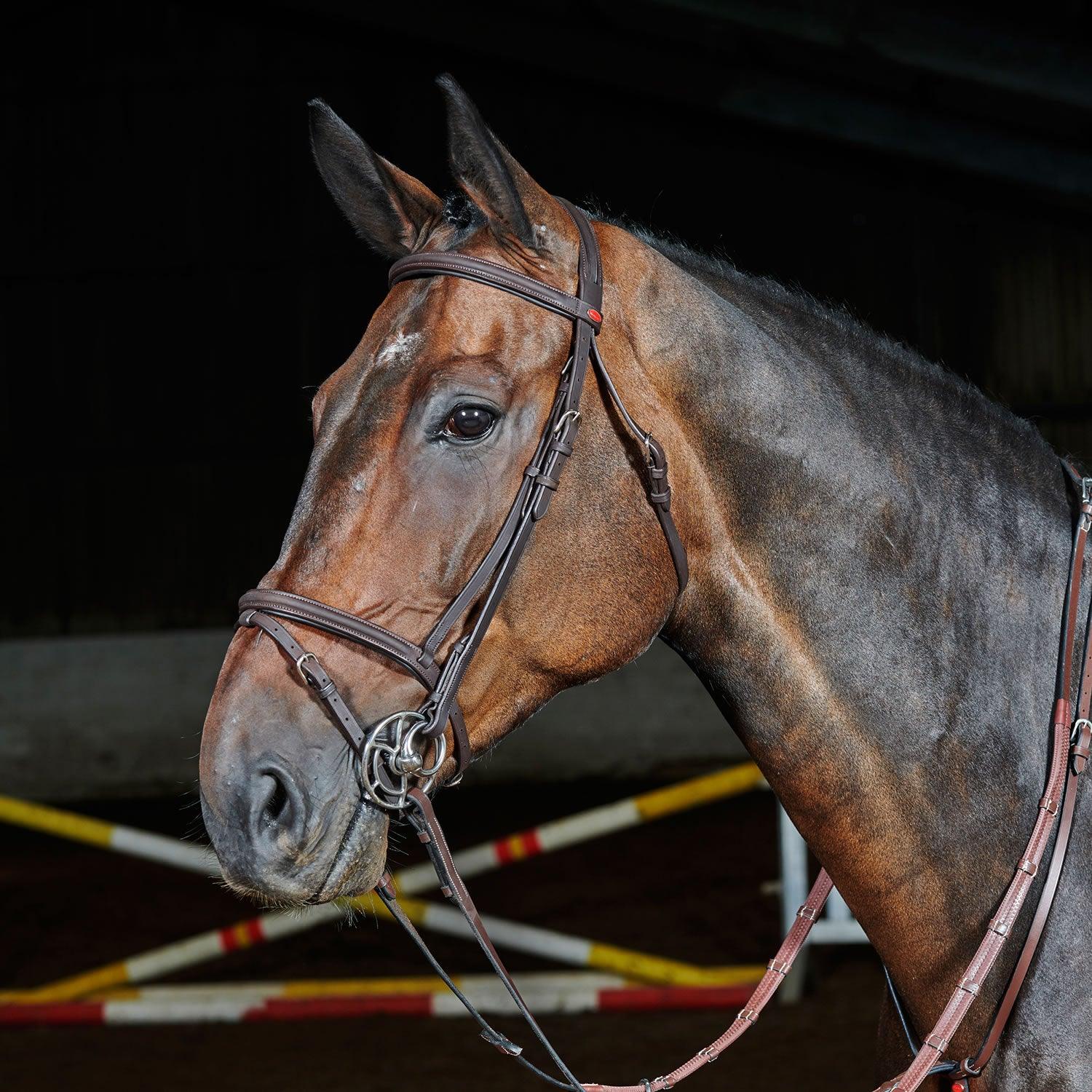 Whitaker Ready To Ride Flash Bridle Xfull Havana - Ormskirk Pets