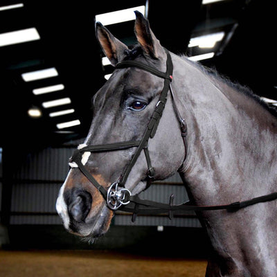 Whitaker Ready To Ride Mexican Bridle Pony Black - Ormskirk Pets