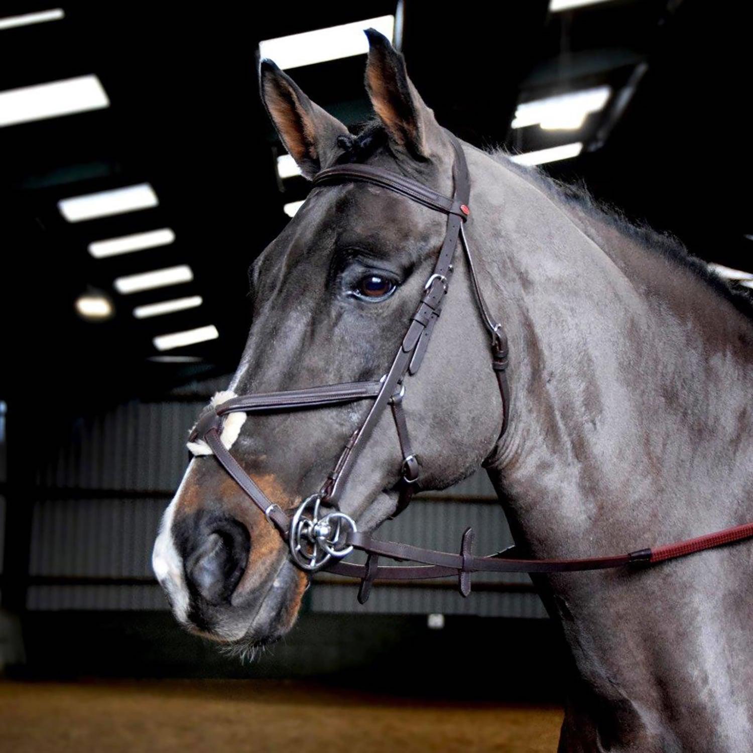 Whitaker Ready To Ride Mexican Bridle Pony Havana - Ormskirk Pets