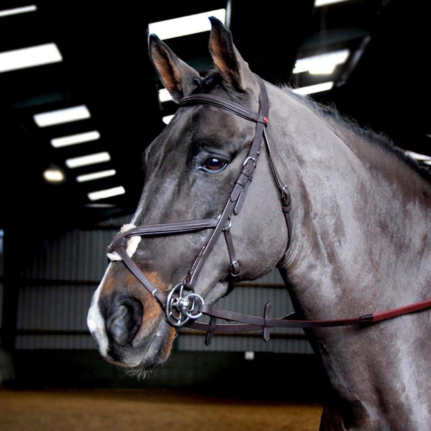 Whitaker Ready To Ride Mexican Bridle Full Havana - Ormskirk Pets