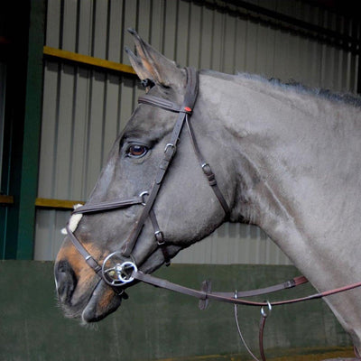 Whitaker Ready To Ride Mexican Bridle Xfull Havana - Ormskirk Pets