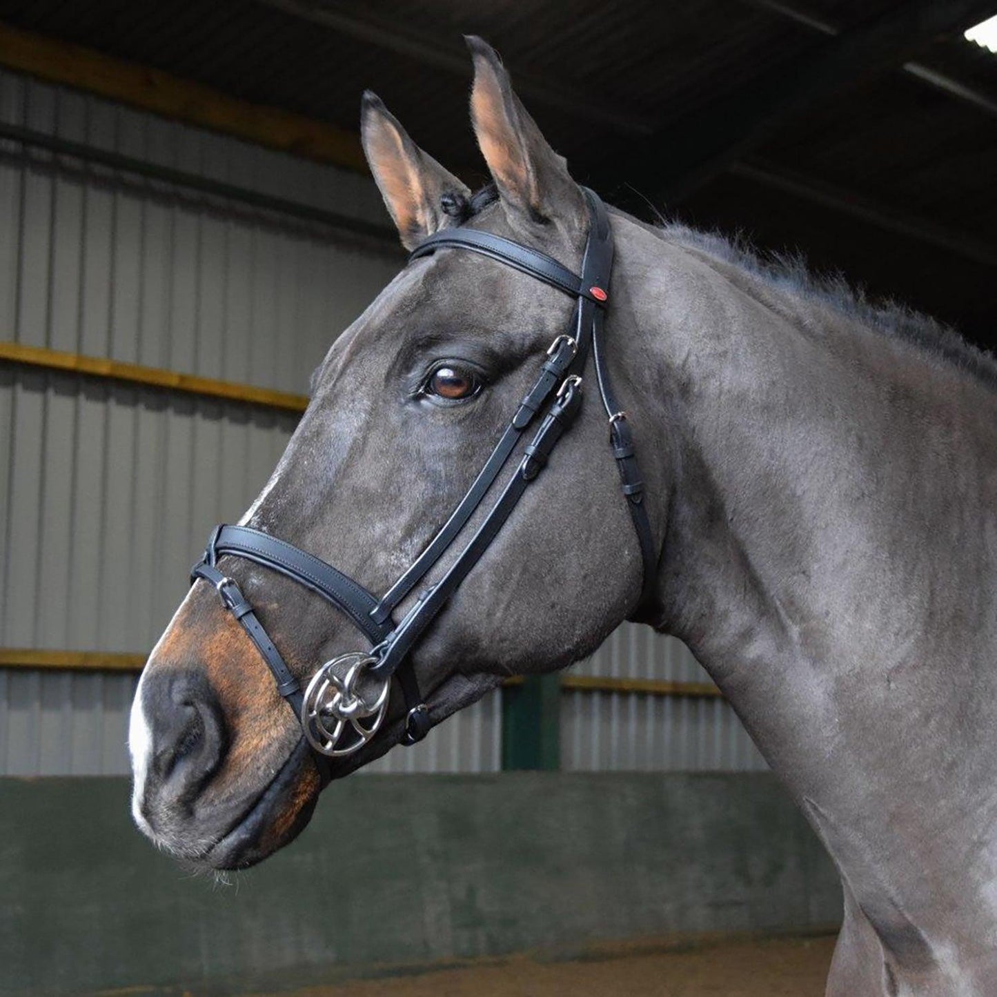 Whitaker Ready To Ride Snaffle Bridle Full Black - Ormskirk Pets