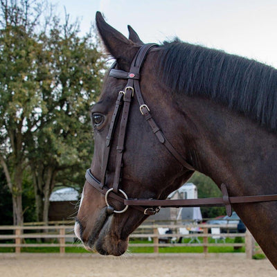 Whitaker Ready To Ride Snaffle Bridle Xfull Havana - Ormskirk Pets