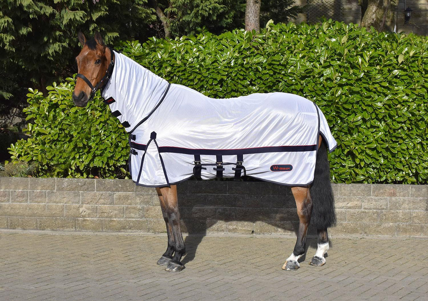 WHITAKER RASTRICK FLY RUG MESH WHITE - Ormskirk Pets