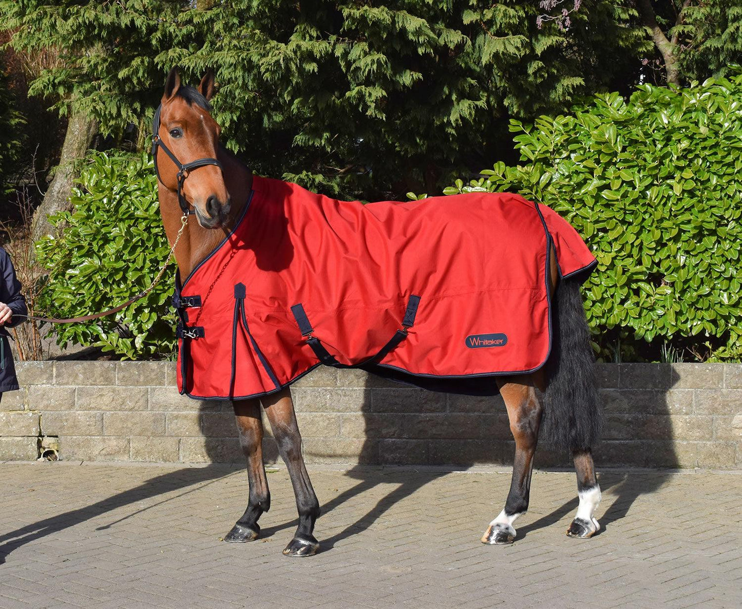 WHITAKER RASTRICK TURNOUT RUG 0GM RED - Ormskirk Pets