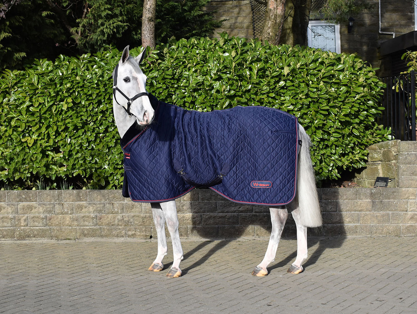 WHITAKER RASTRICK COSY STABLE RUG NAVY