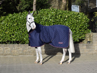 WHITAKER RASTRICK COSY STABLE RUG NAVY