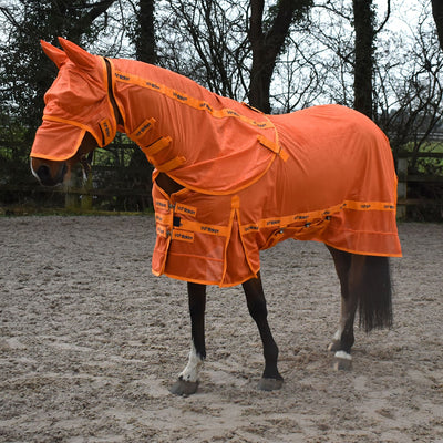 WHITAKER SWOT FLY RUG & MASK ORANGE