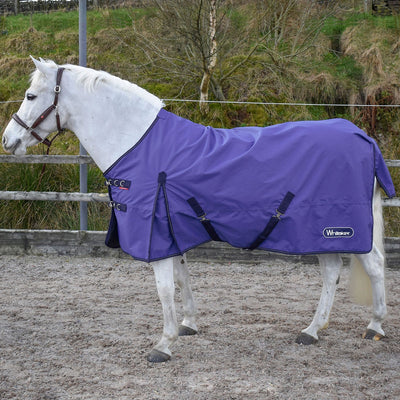 WHITAKER RASTRICK TURNOUT RUG OGM PURPLE