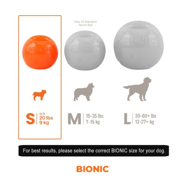 BIONIC BALL