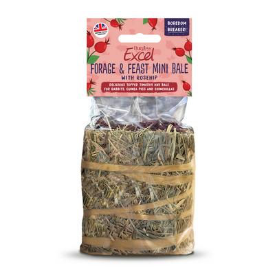 BURGESS EXCEL FORAGE & FEAST MINI BALE ROSEHIP 100G