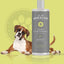 For All Dogkind Dirty Coat Natural Shampoo 250ml - Ormskirk Pets