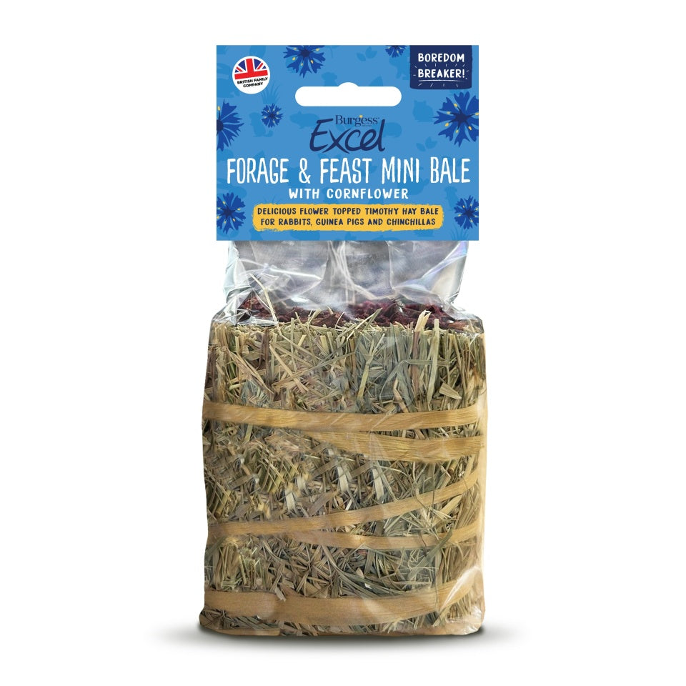 BURGESS EXCEL FORAGE & FEAST MINI BALE CORNFLOWER 100G