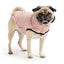 GF Pet Reversible Elasto-Fit Chalet Jacket Pink