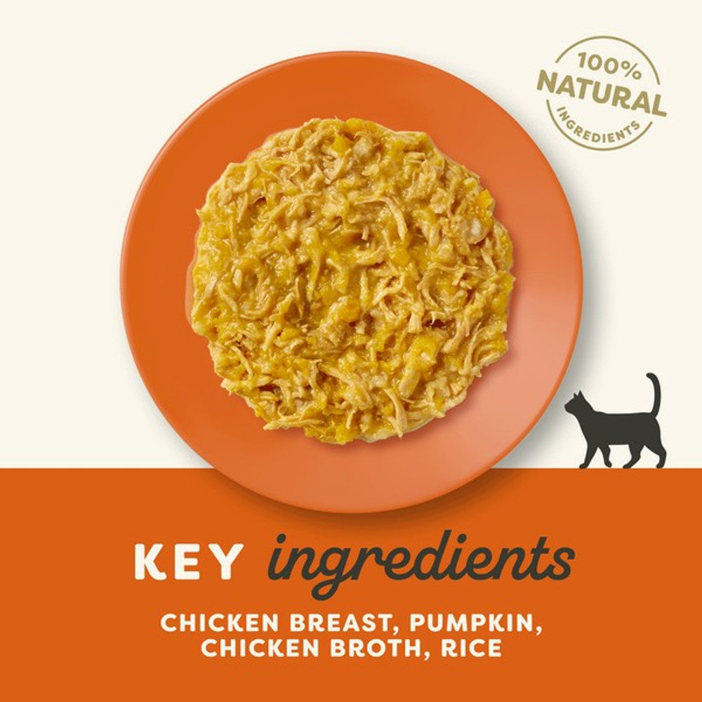 Applaws Cat Pouch Chicken Breast and Pumpkin 12 x 70g