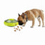 All For Paws Interactives - UFO Treat dispenser