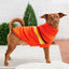 GF Pet Retro Sweater Orange