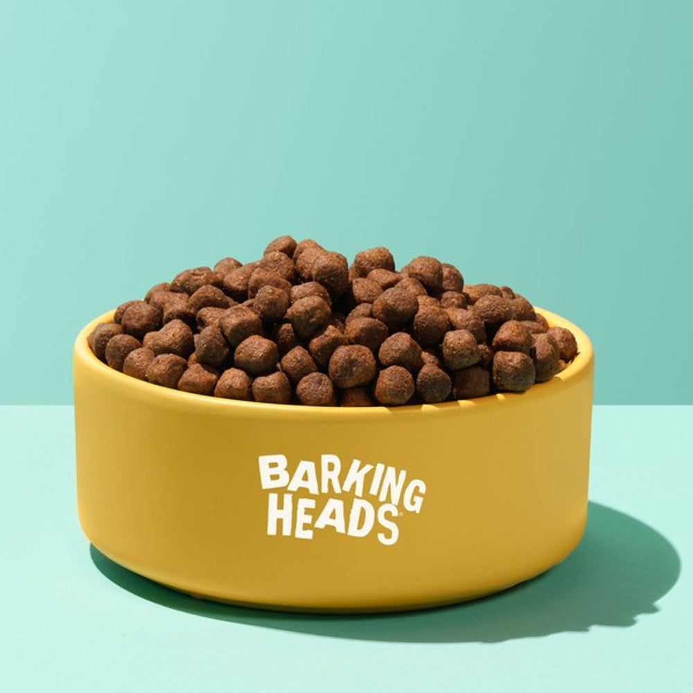 Barking Heads All Hounder Fuss Pot Duck, 2KG