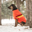 GF Pet Retro Sweater Orange