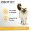 Perfect Fit Cat Complete Dry Sensitive 1+ Turkey 750g X 4