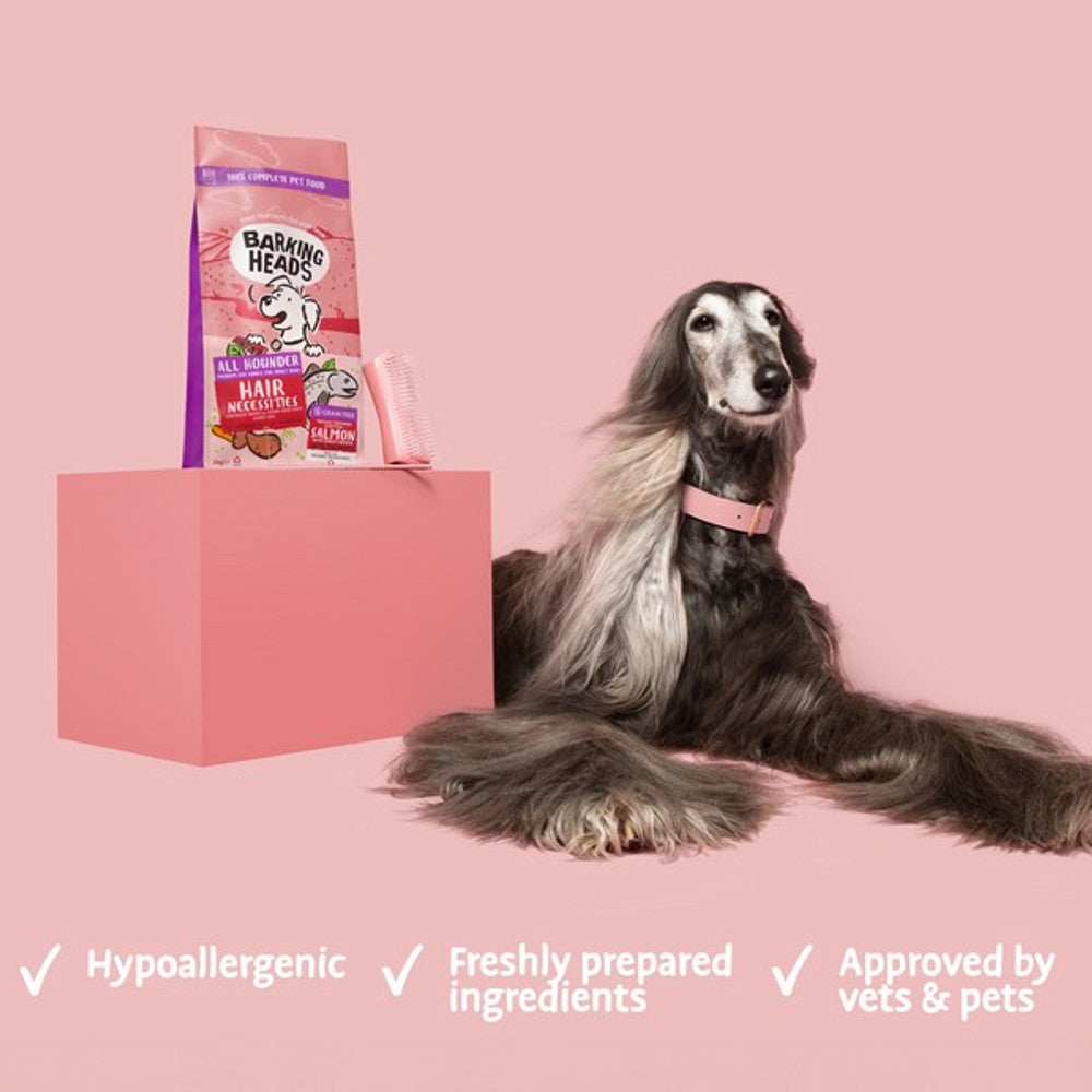 Barking Heads All Hounder Hair Necessities Salmon, 2KG