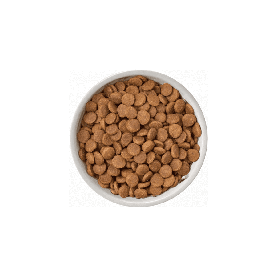 Natures Variety Dy Food Puppy Free Range Chicken 600g - Ormskirk Pets