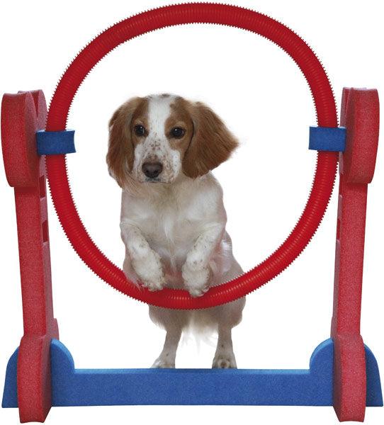 Rosewood Small Dog Hoop - Ormskirk Pets