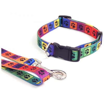 Wag 'n' Walk Fashion Leads Bright Multi Paw 40" x 3/4"