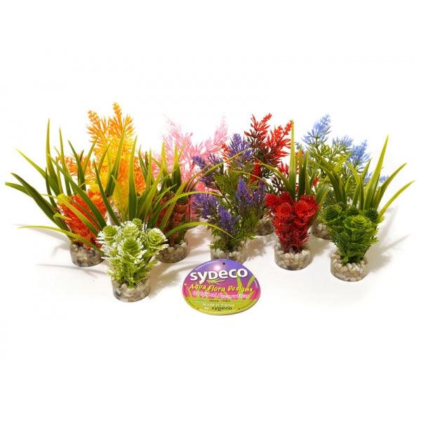 Rosewood Nano Fiesta Plants - Ormskirk Pets