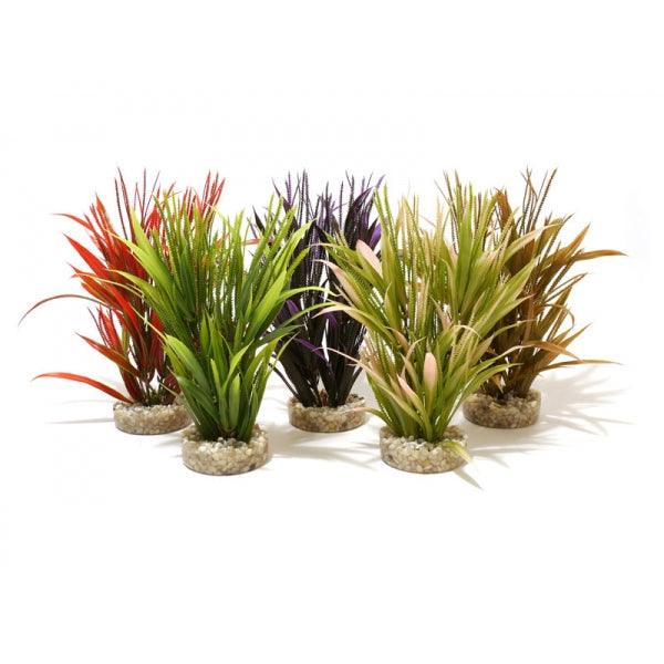 Rosewood Tropical Grass - Ormskirk Pets