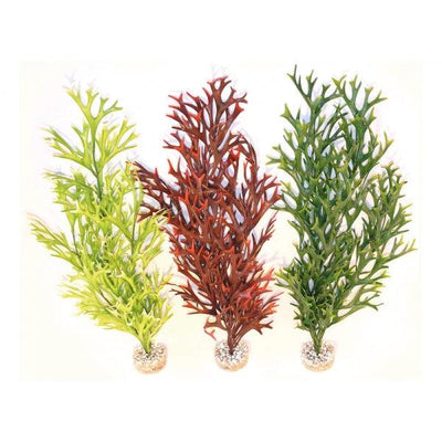 Rosewood Water Fern Flexible