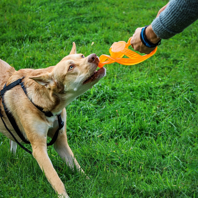 BIONIC TOSS-N-TUG RING 23CM