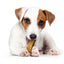 Yakers Dog Chew Small - Ormskirk Pets